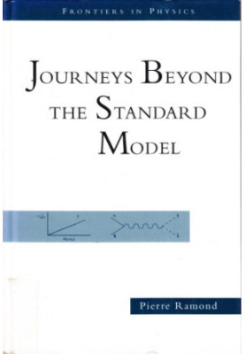 Journeys Beyond The Standard Model