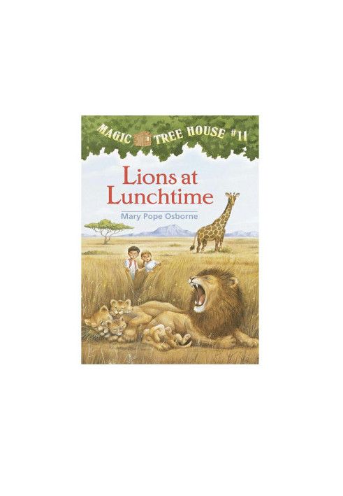 Lions at Lunchtime
