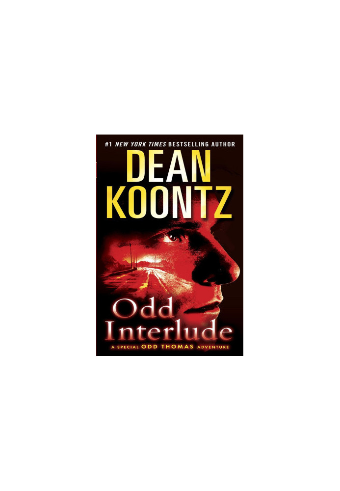 Odd Interlude: A Special Odd Thomas Adventure