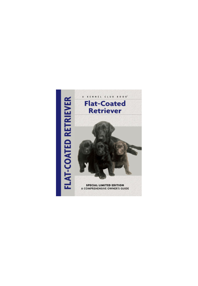 Flat-Coated Retriever