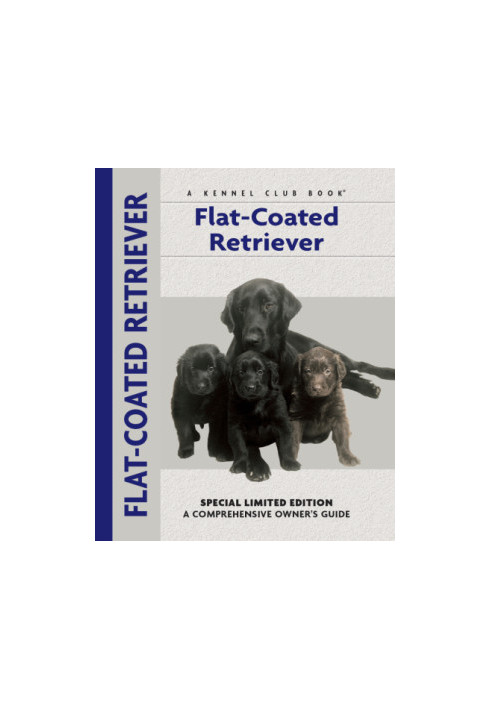Flat-Coated Retriever