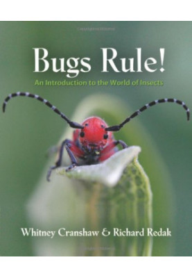 Bugs Rule!: An Introduction to the World of Insects