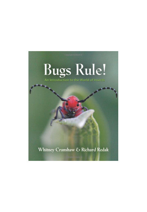 Bugs Rule!: An Introduction to the World of Insects