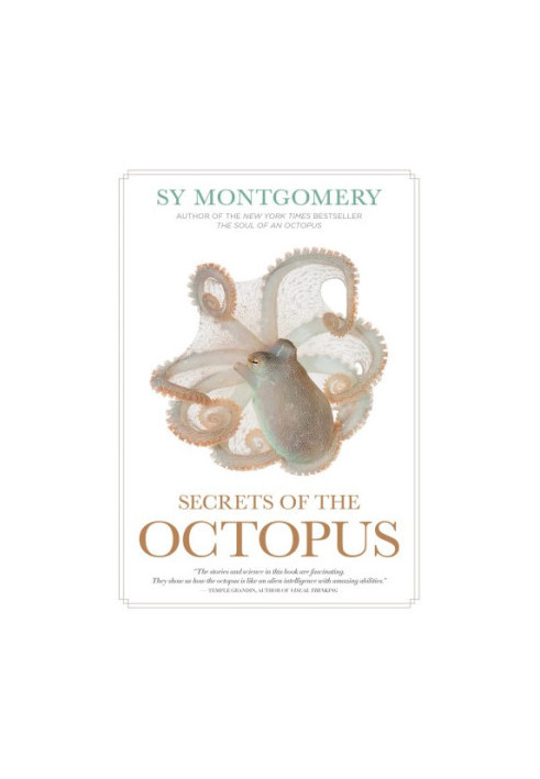 Secrets of the Octopus