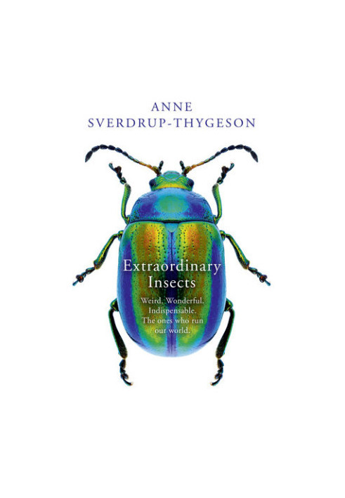 Extraordinary Insects: Weird. Wonderful. Indispensable. The ones who run our world (2019)