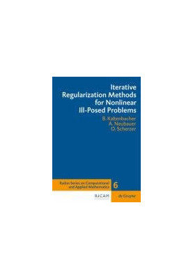 Iterative regularization methods for nonlinear ill-posed problems