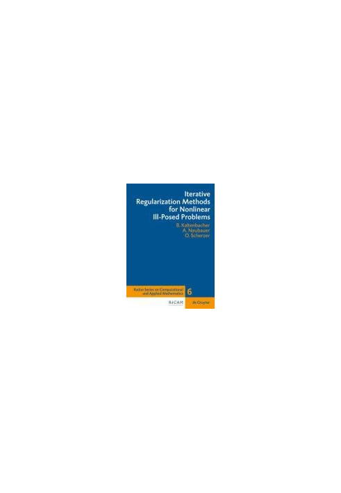 Iterative regularization methods for nonlinear ill-posed problems