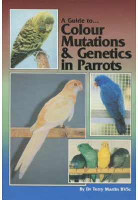 A Guide to Colour Mutations and Genetics in Parrots