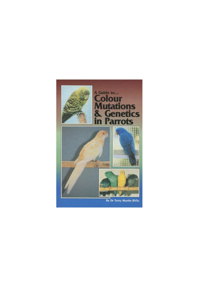 A Guide to Colour Mutations and Genetics in Parrots