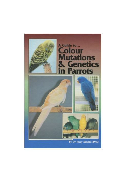 A Guide to Colour Mutations and Genetics in Parrots