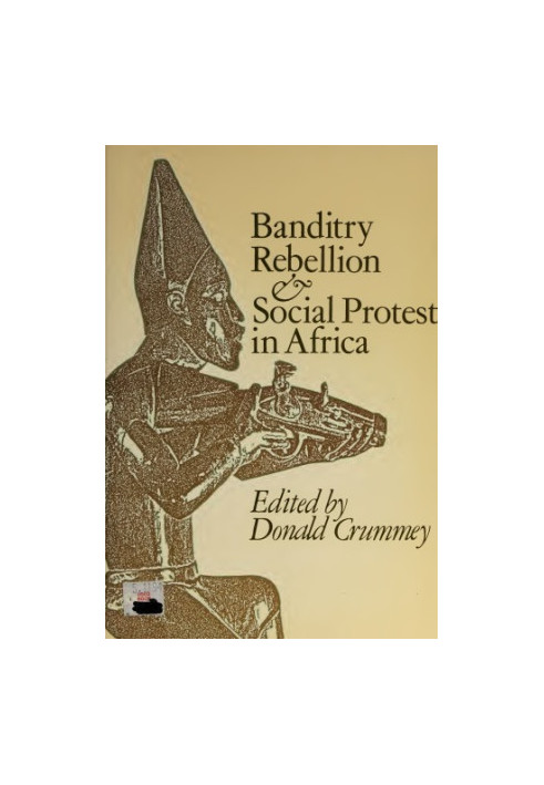 Banditry, Rebellion, and Social Protest in Africa