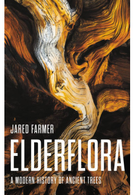 Elderflora: A Modern History of Ancient Trees