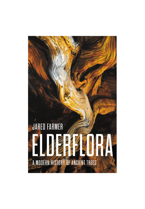 Elderflora: A Modern History of Ancient Trees