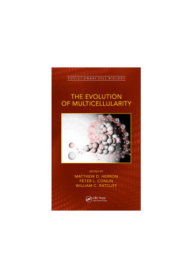 The Evolution of Multicellularity