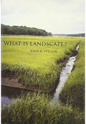 What is Landscape?