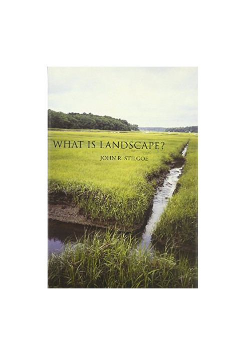 What is Landscape?