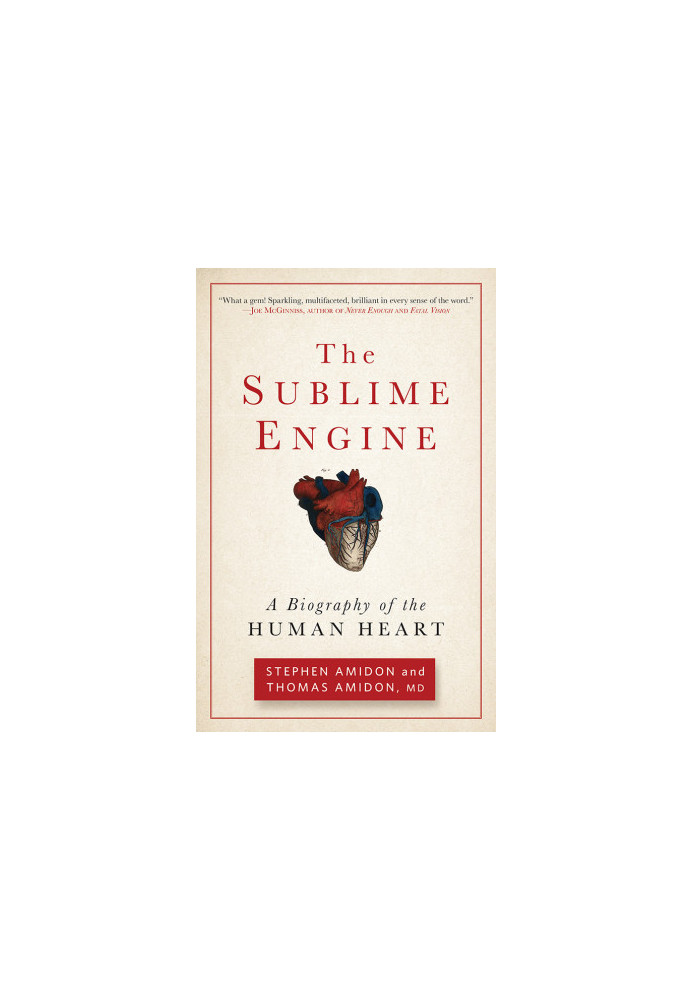 The Sublime Engine