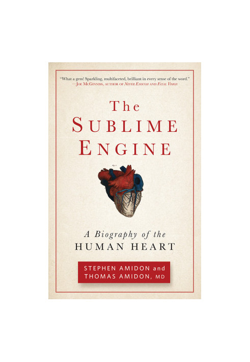 The Sublime Engine