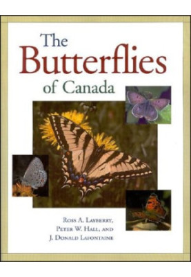 The butterflies of Canada
