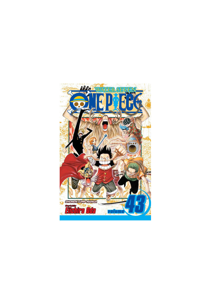 One Piece, Vol. 43