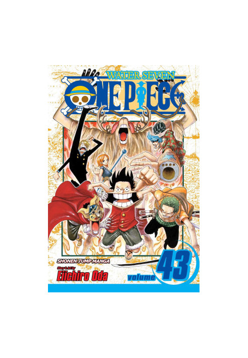 One Piece, Vol. 43