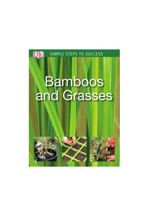 Bamboos and grasses