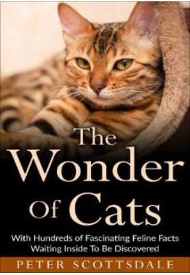 The Wonder of Cats