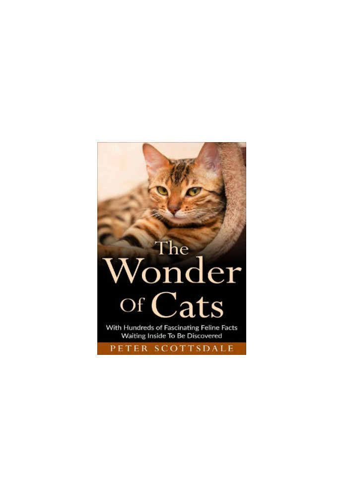 The Wonder of Cats