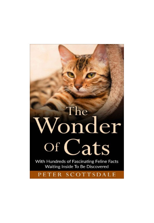 The Wonder of Cats
