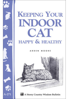 Keeping Your Indoor Cat Happy & Healthy