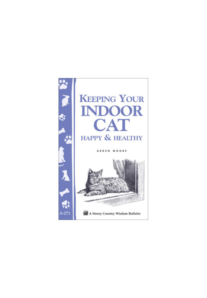 Keeping Your Indoor Cat Happy & Healthy