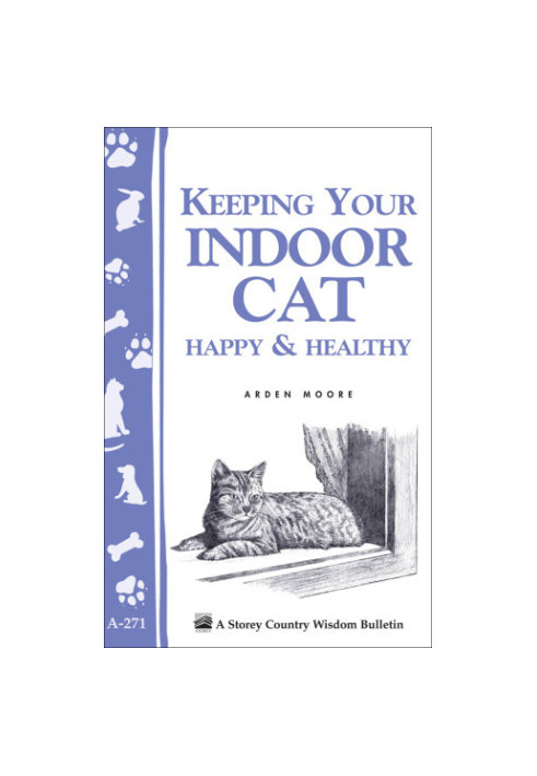 Keeping Your Indoor Cat Happy & Healthy