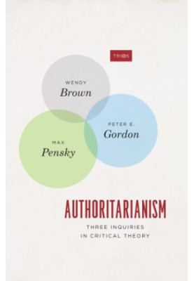 Authoritarianism: Three Inquiries in Critical Theory