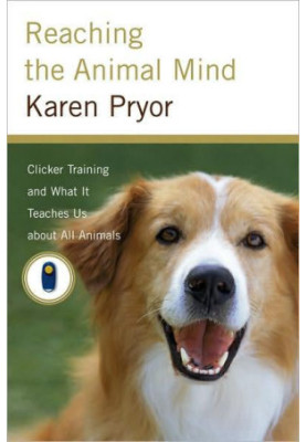 Reaching the Animal Mind