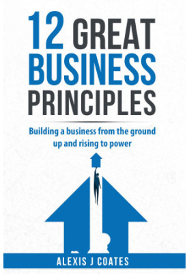 12 GREAT BUSINESS PRINCIPLES : Building a Business From the Ground Up and Rising to Power