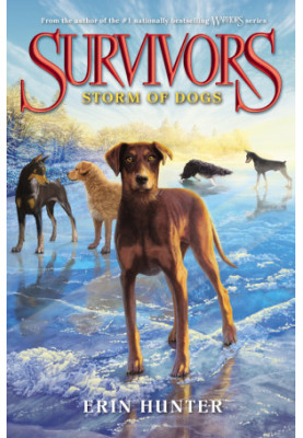 Storm of Dogs