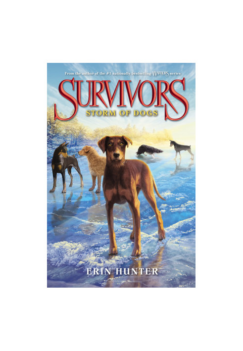 Storm of Dogs
