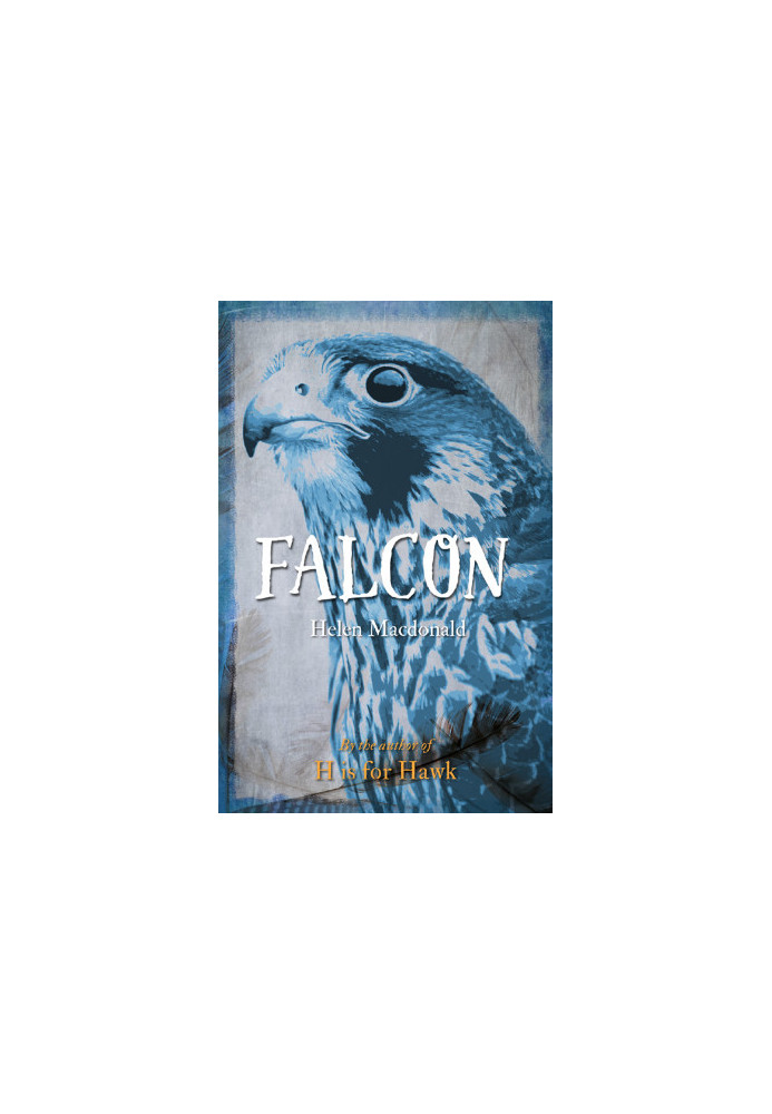 Falcon