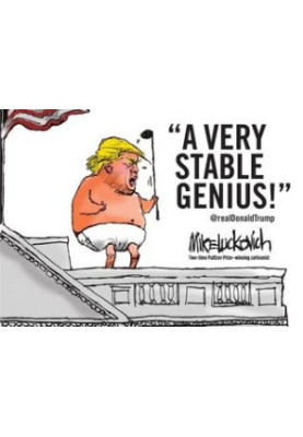 A Very Stable Genius