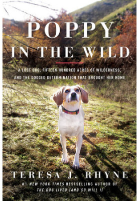 Poppy in the Wild