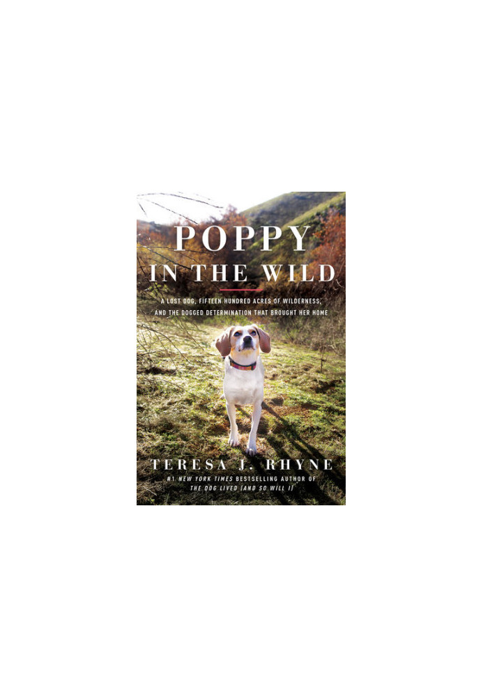 Poppy in the Wild