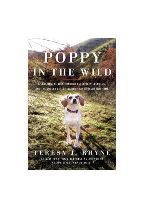 Poppy in the Wild