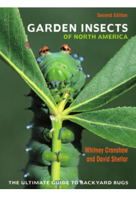 Garden Insects of North America, 2nd Edition • The Ultimate Guide to Backyard Bugs