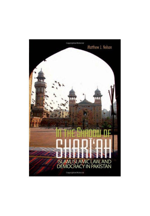 In the Shadow of Shari'ah: Islam, Islamic Law, and Democracy in Pakistan (Columbia/Hurst)