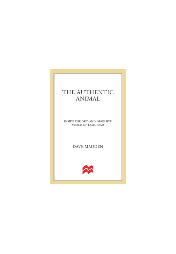 The authentic animal: inside the odd and obsessive world of taxidermy