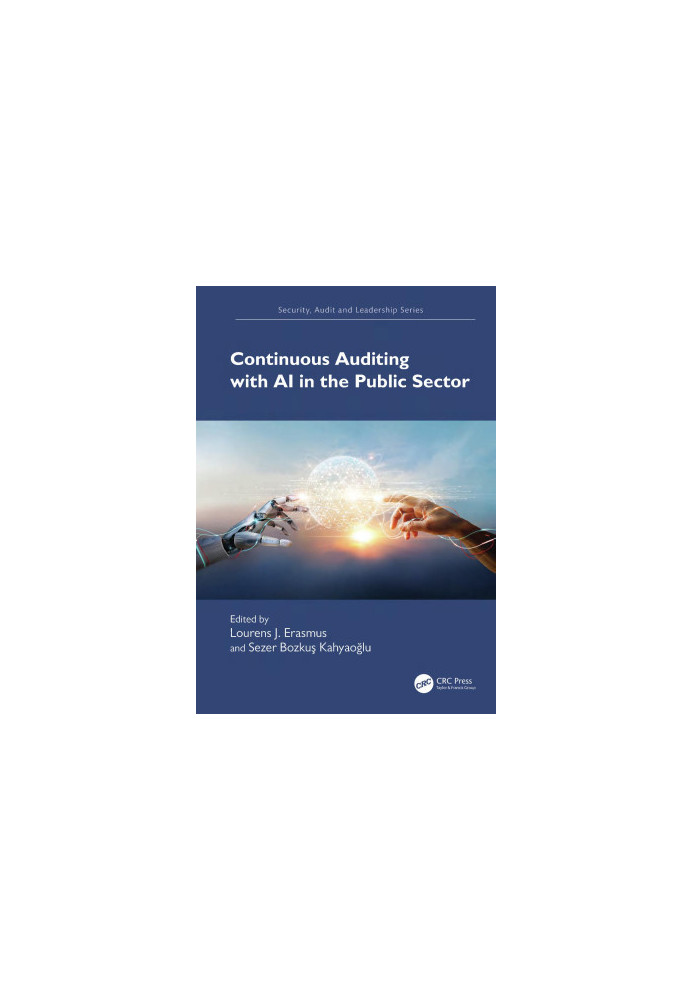 Continuous Auditing with AI in the Public Sector