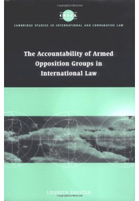 Accountability of armed opposition groups in international law