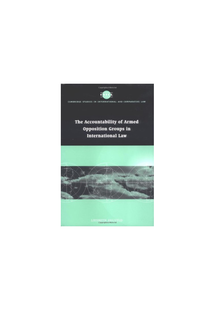 Accountability of armed opposition groups in international law