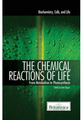 The Chemical Reactions of Life: From Metabolism to Photosynthesis