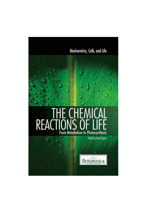 The Chemical Reactions of Life: From Metabolism to Photosynthesis